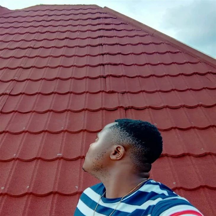 Galvanized Stone Coated Roofing Sheet Metal Roof